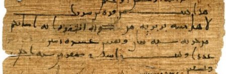"New Frontiers of Arabic Papyrology : Arabic and Multilingual Texts (…)