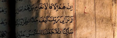 The One and the Many. The Early History of the Qur'an (March (...)